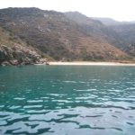 Services 10400984 35381802358 6305 N 150x150