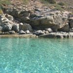 Services 10400984 35381832358 7693 n