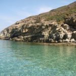 Services 10400984 35381842358 8387 n