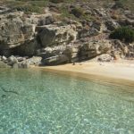 Services 10400984 35381847358 8738 N 150x150