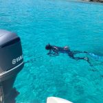 Services 493174947 10163197261037359 243907255742830715 n