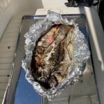 Services 509600848 10163367070347359 2440005572278620579 n