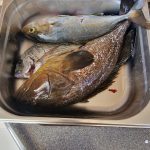 Services 515691026 10163442386067359 539367102598326253 n