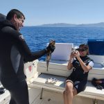 Services 518343123 10163493918077359 4553248821946323319 n