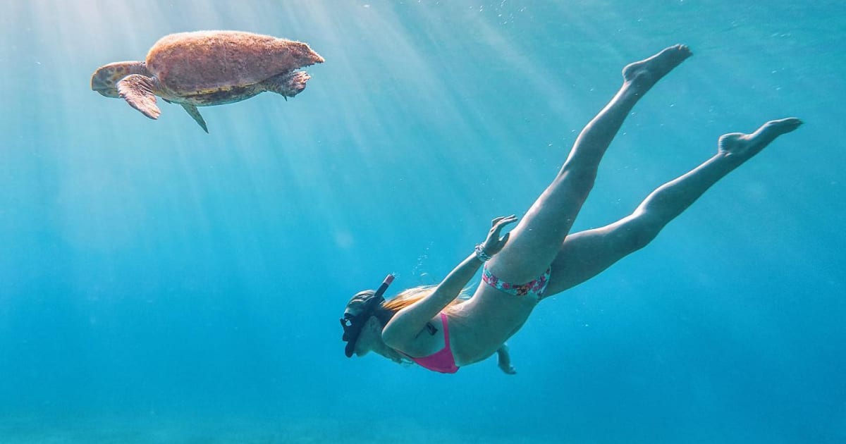 11ec9c1e54c144b1c3ae492828d02d05