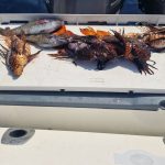 487303543 1335933394716930 944782782150430714 n