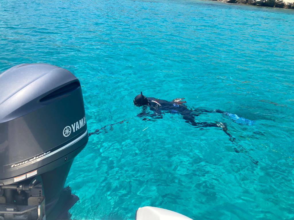 493174947 10163197261037359 243907255742830715 n