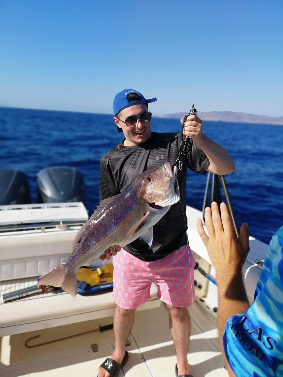 505447475 10163355178677359 2414788222117826408 n