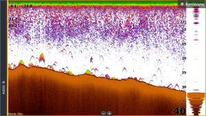 screenshot 2018 09 11 06.46.42