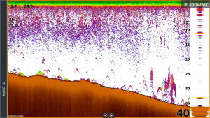 screenshot 2018 09 11 06.48.29