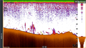 screenshot 2018 09 11 06.51.44