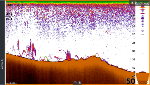 screenshot 2018 09 11 06.53.13