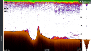 screenshot 2018 09 11 07.19.19