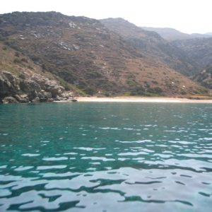 10400984 35381802358 6305 N Re2lwevytsycqxu0etoea86bju689dpulpj8bxexmg