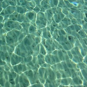 10400984 35381837358 8044 n