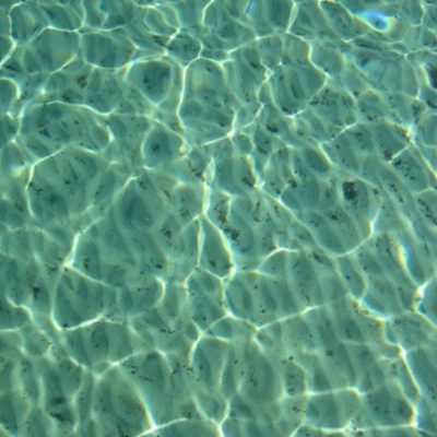 10400984 35381837358 8044 n