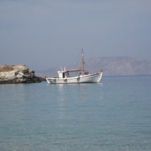 10400984 35381877358 497 n