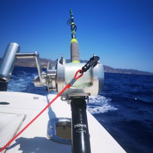 108024974 3133137306769531 9209626155086828621 n