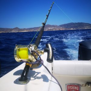 109927410 3133137376769524 2446418674016687710 n