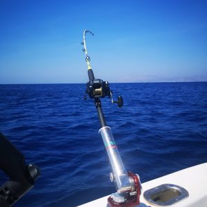 115821133 3156019394481322 2020376116534525174 n