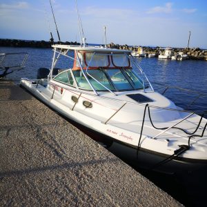 190670315 4016805741736012 7450273408352405499 n