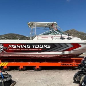 275799697 4941413909275186 599261501834569980 n