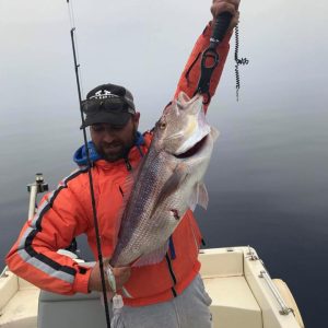 30652367 1690692984347311 4848152216072093696 n