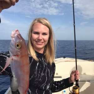 32810428 1726710527412223 2913322638099087360 n