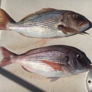 465007329 8563310870418787 9036861319064937178 n