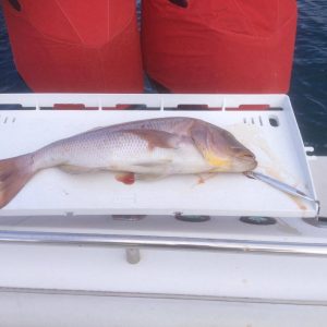 465128587 8569976739752200 7903089829858412989 n