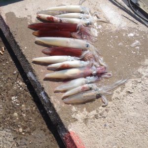 465167300 8568593266557214 549571930081715089 n