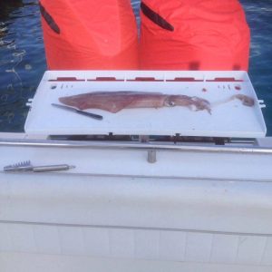 465223863 8569976736418867 113927236780091607 n