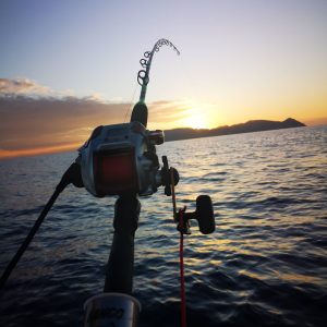 Fishing Charters 471595689 10162684033047359 8178875053908213038 n