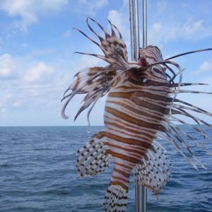 487298244 1335933408050262 326152174528531216 n