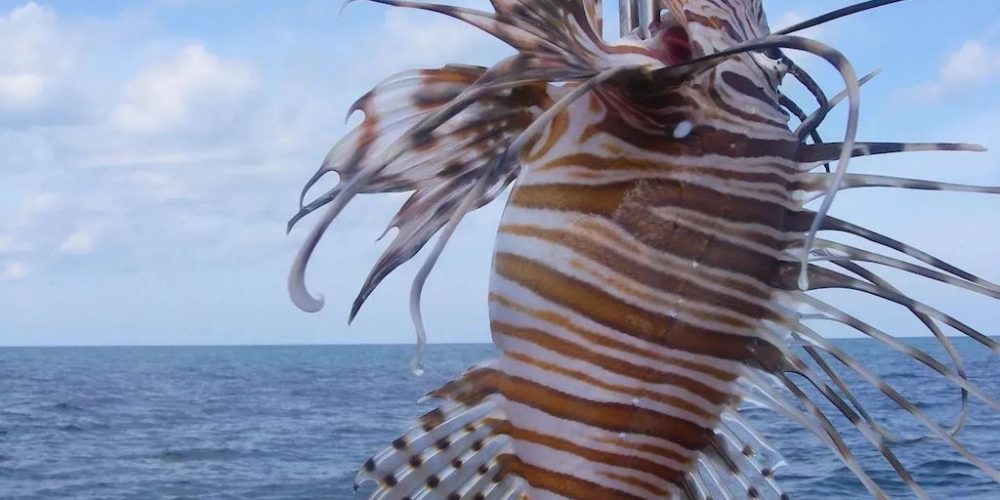 487298244 1335933408050262 326152174528531216 n