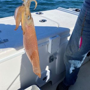 Fishing Charters 502720410 10163255941027359 2434152411355155938 n