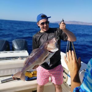 Fishing Charters 505447475 10163355178677359 2414788222117826408 n