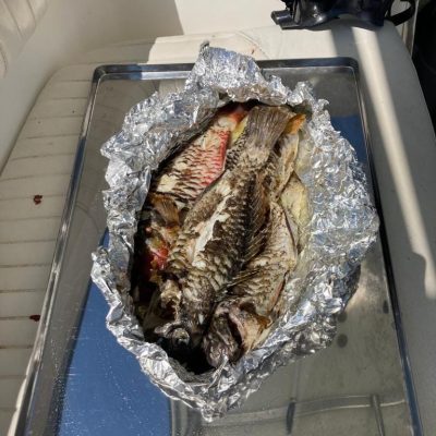 Sea to Plate Boat Experience 509600848 10163367070347359 2440005572278620579 n