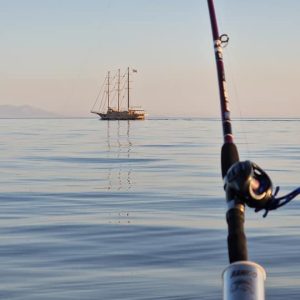 Fishing Charters 512669085 10163391402787359 458868384209197647 n