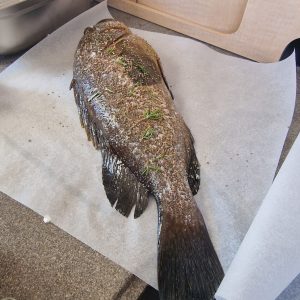 515369667 10163442385437359 5594731810470567667 n