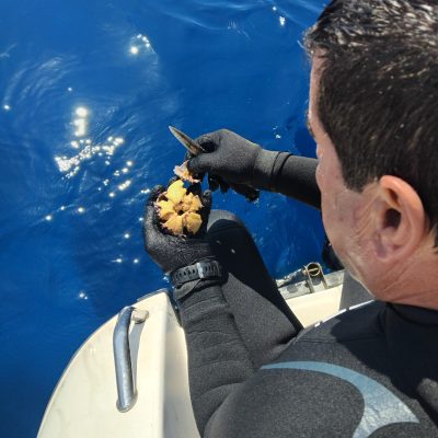 Sea to Plate Boat Experience 516863846 10163493917632359 8433390667356110450 n