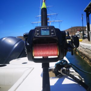 Fishing Charters 554834241 10163930391222359 3930344703360961499 n