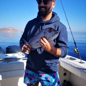 71107891 2468698839880051 5035130842754580480 n