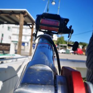 74589547 2570225999727334 1035458895000109056 n