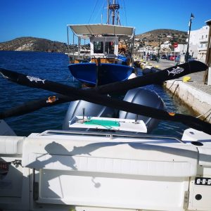 75064838 2570225899727344 8466283119203319808 n