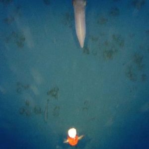 75642415 2576920519057882 393202774185082880 n