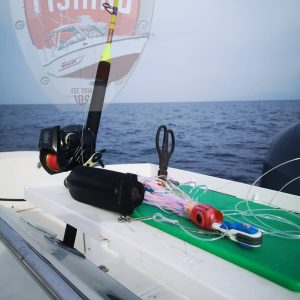 76187932 2581250918624842 8116839490464514048 n