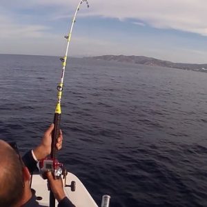 76652043 2590687681014499 8477595547664908288 n