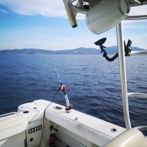 76688947 2588086911274576 5389267053976748032 n