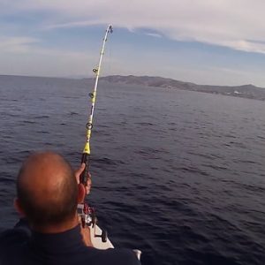 76918975 2590687727681161 784107564773146624 n